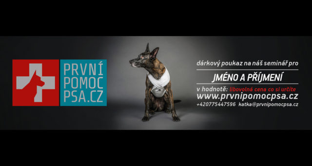 Dárkový poukaz