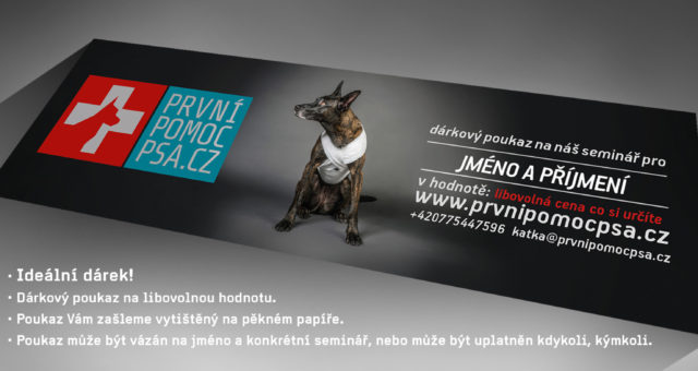 Dárkový poukaz